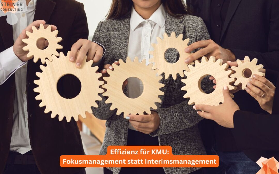Das Bild zeigt Menschen im Business mit hölzernen Zahnrädern in der Hand als Bildmetapher für ein funktionierendes Fokusmanagement (Interimsmanagement).